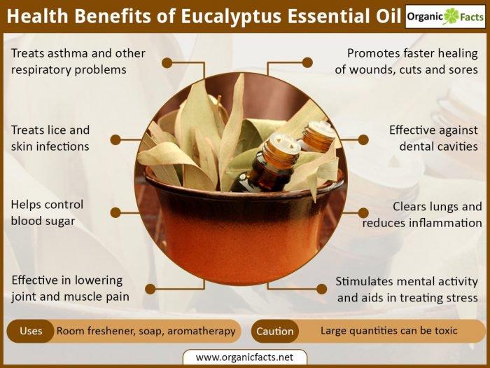 Herbal Choice Mari Organic Eucalyptus Essential Oil; 0.3floz Glass - Herbal Choice Mari Organic Eucalyptus Essential Oil; 0.3floz Glass - Herbal Choice Mari Organic Eucalyptus Essential Oil; 0.3floz Glass