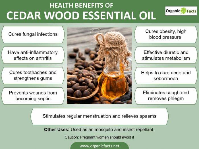 Herbal Choice Mari Organic Cedar Wood Essential Oil; 0.3floz Glass