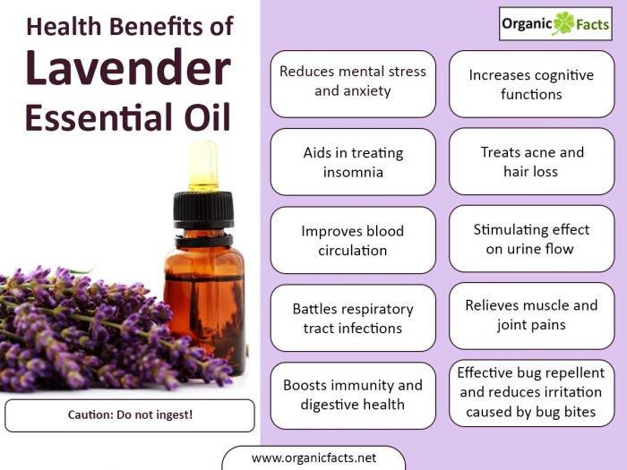 Lavender Essential Oil Benefits: Your Comprehensive Guide to