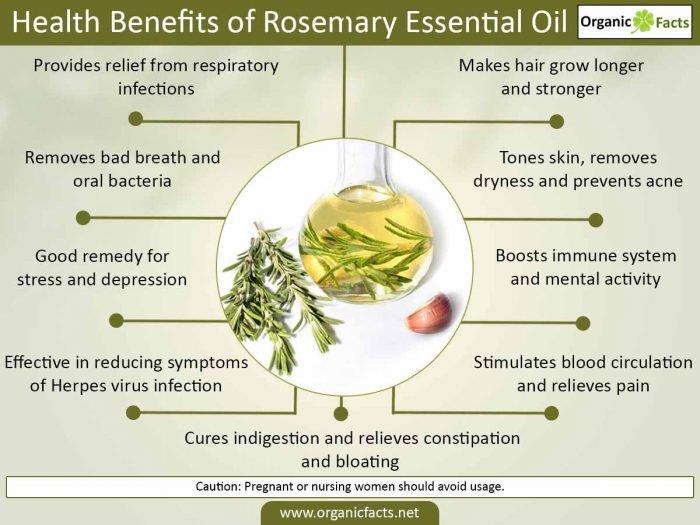 Herbal Choice Mari Organic Rosemary Essential Oil; 0.3floz Glass – Nature's  Brands