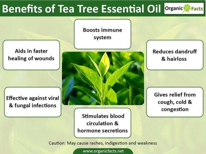 Tea Tree Oil, Organic Essential Oils
