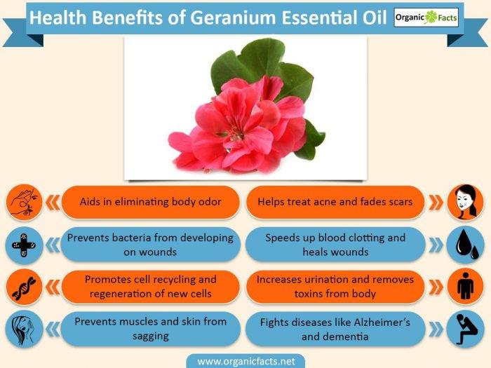 Herbal Choice Mari Organic Geranium Rose Essential Oil; 0.3floz Glass